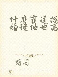 什么霸道总裁离婚后他也高攀不起我小说