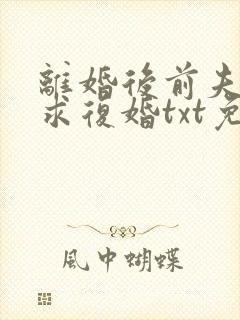 离婚后前夫哭着求复婚txt免费下载