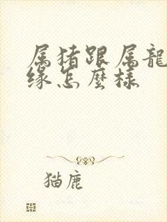 属猪跟属龙的姻缘怎么样