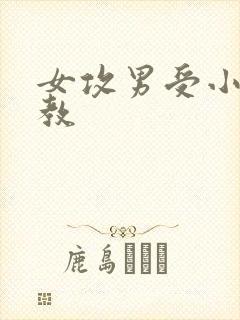 女攻男受小说调教