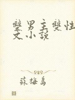 双男主双性高干文小说
