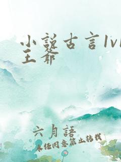 小说古言1v1王爷