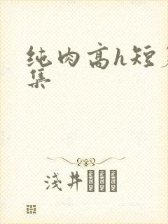 纯肉高h短篇合集