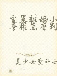 家暴离婚小孩抚养权怎么判