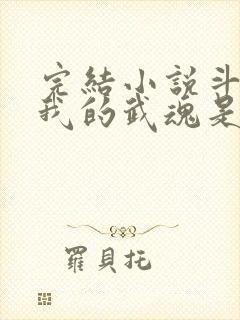 完结小说斗罗之我的武魂是魂环