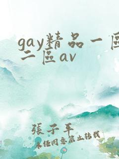 gay精品一区二区av