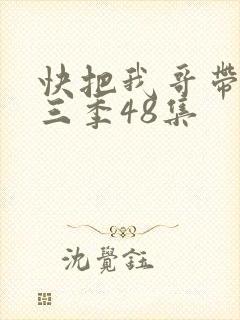 快把我哥带走第三季48集