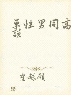 单性男同高h小说