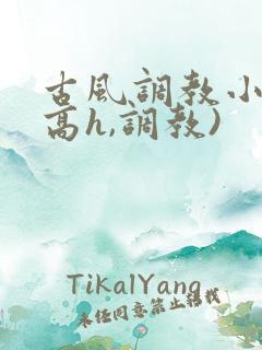 古风调教小说(高h,调教)