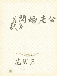 《闪婚老公是总裁》