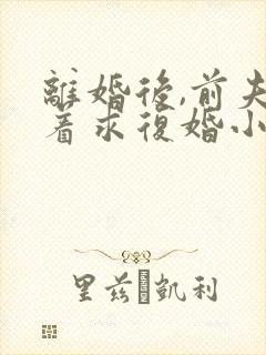 离婚后,前夫哭着求复婚小说全文