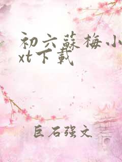 初六苏梅小说txt下载