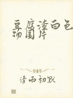 豆腐渣白色分泌物图片