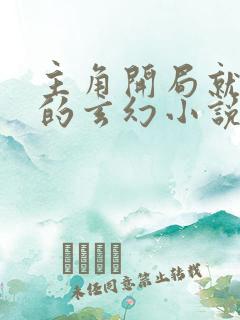 主角开局就满级的玄幻小说