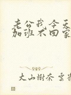 老公我今天晚上加班不回家