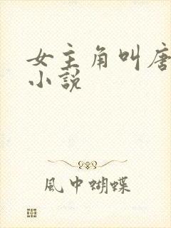 女主角叫唐棠的小说