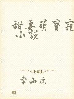 甜妻萌宝宠上天 小说