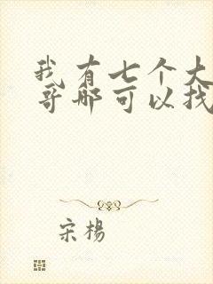 我有七个大佬哥哥哪可以找到