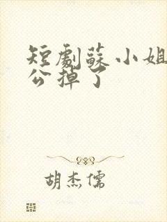 短剧苏小姐你老公掉了