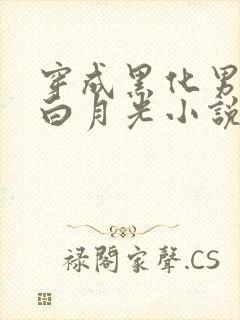 穿成黑化男主的白月光小说