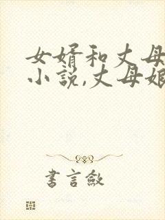 女婿和丈母娘的小说,丈母娘是双胞胎的