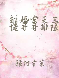 离婚当天三个大佬哥哥排队接我回家短剧