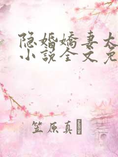 隐婚娇妻太迷人小说全文免费阅读