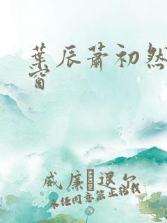 叶辰萧初然无弹窗