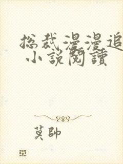 总裁漫漫追妻路 小说阅读