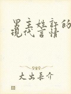 男主姓许的小说现代言情