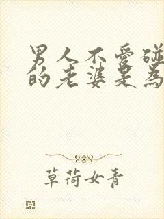 男人不爱碰自己的老婆是为什么