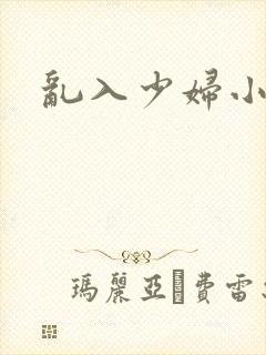 乱入少妇小说