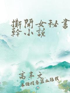 撕开女秘书丝袜干小说