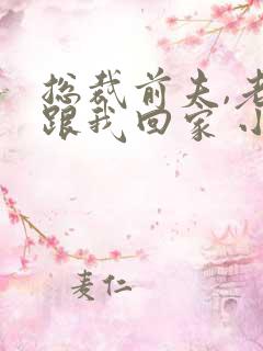 总裁前夫,老婆跟我回家 小说