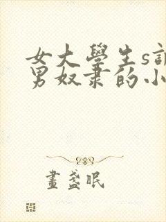 女大学生s调教男奴隶的小说