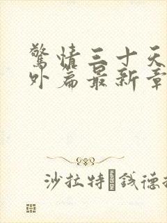 惊情三十天2番外篇最新章节阅读