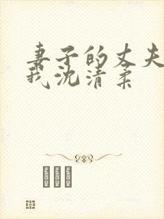 妻子的丈夫不是我沈清柔