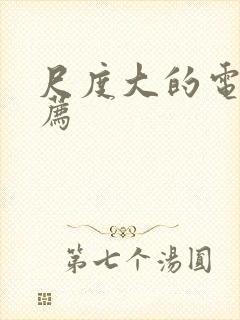 尺度大的电影推荐