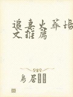 追妻火葬场总裁文推荐