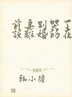 前妻别哭了是你说离婚的在线