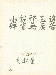 小说邪王追妻无弹窗无广告