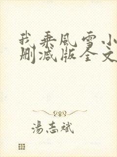 我乘风雪小说未删减版全文阅读