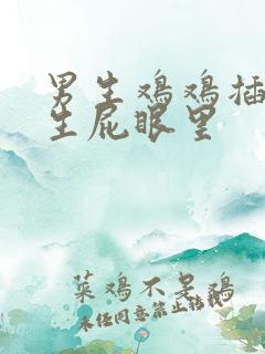 男生鸡鸡插进女生屁眼里