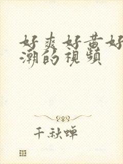 好爽好黄好湿高潮的视频