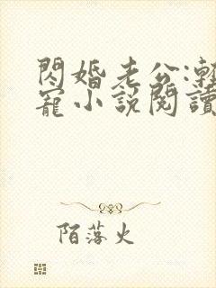 闪婚老公:轻点宠小说阅读全部