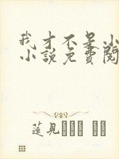 我才不是小傻子小说免费阅读