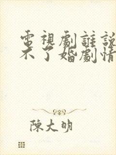 电视剧谁说我结不了婚剧情介绍