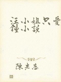 汪小姐只爱三分钟小说