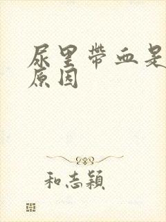 尿里带血是什么原因