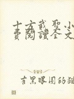 十方武圣小说免费阅读全文